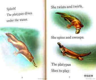 Platypus绘本故事第4页