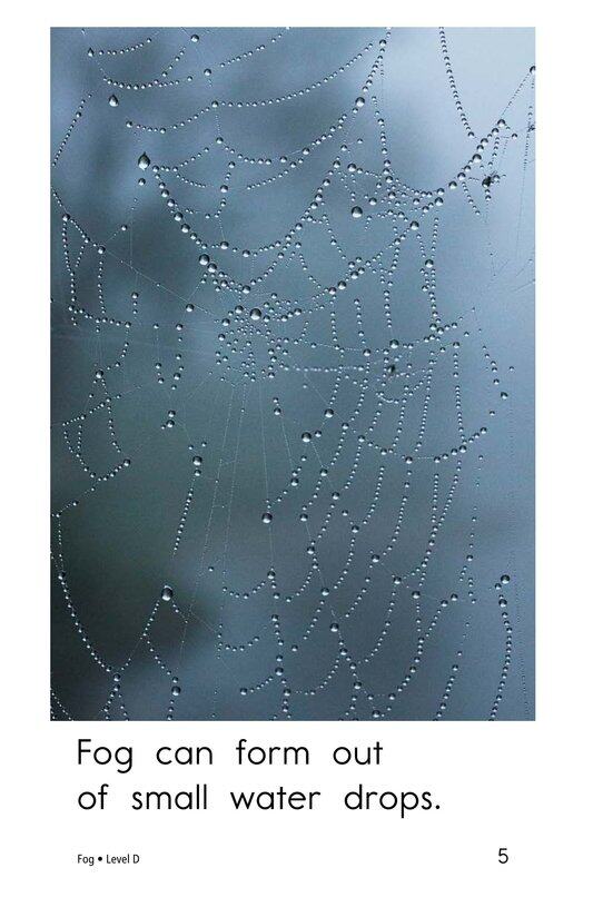Fog绘本故事第5页