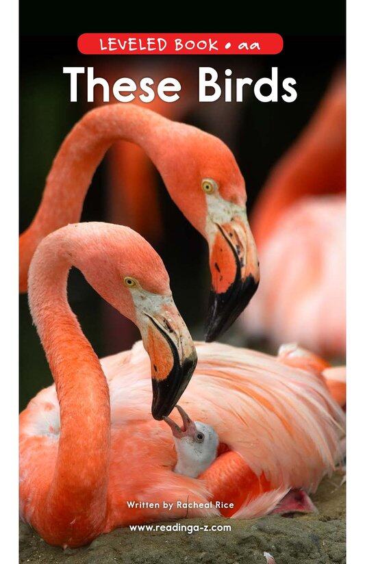 These Birds绘本故事第2页