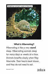 Hibernation绘本故事第4页