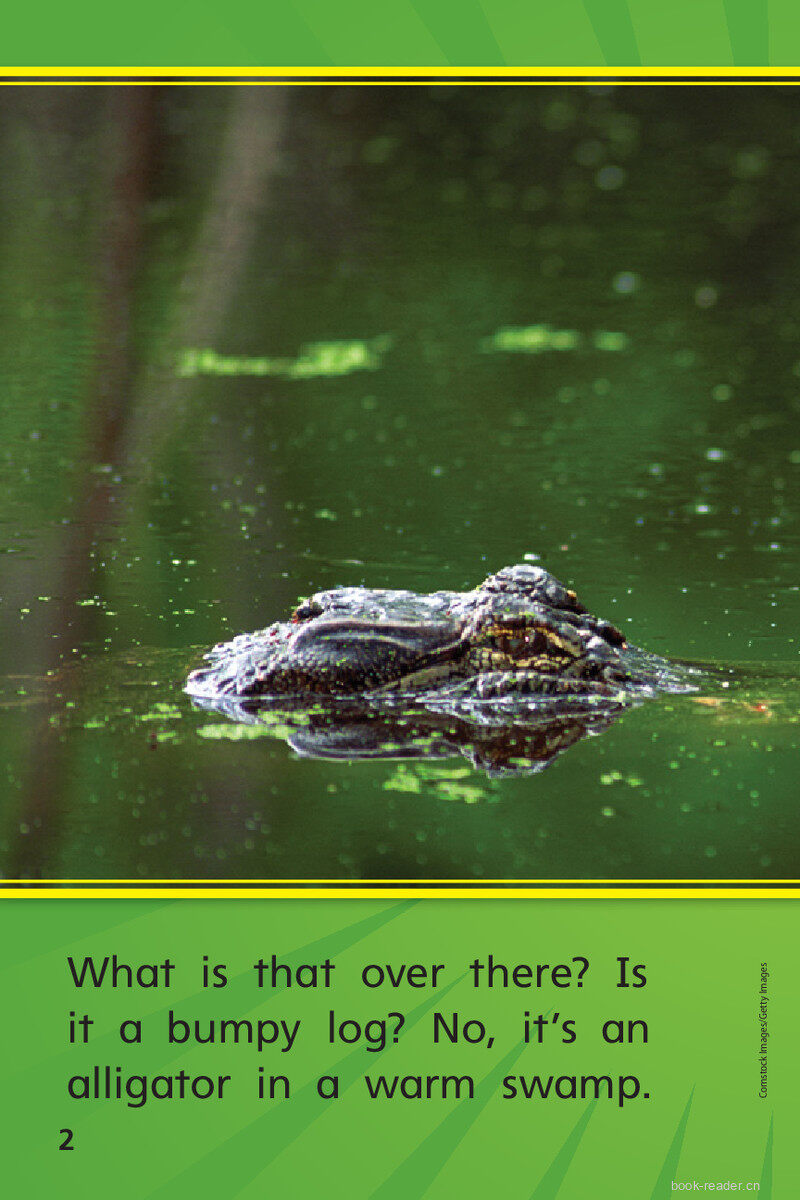 G1 On U4W3 Go, Gator!绘本故事第4页