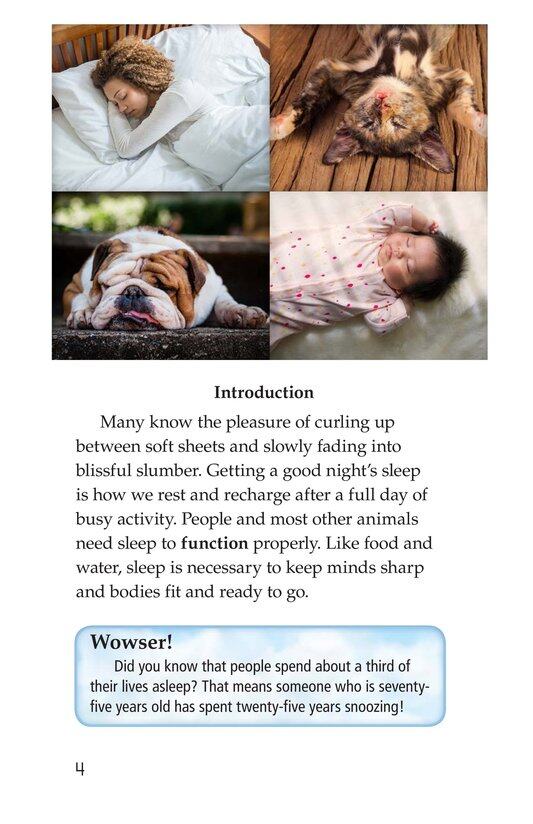 Why We Sleep绘本故事第3页