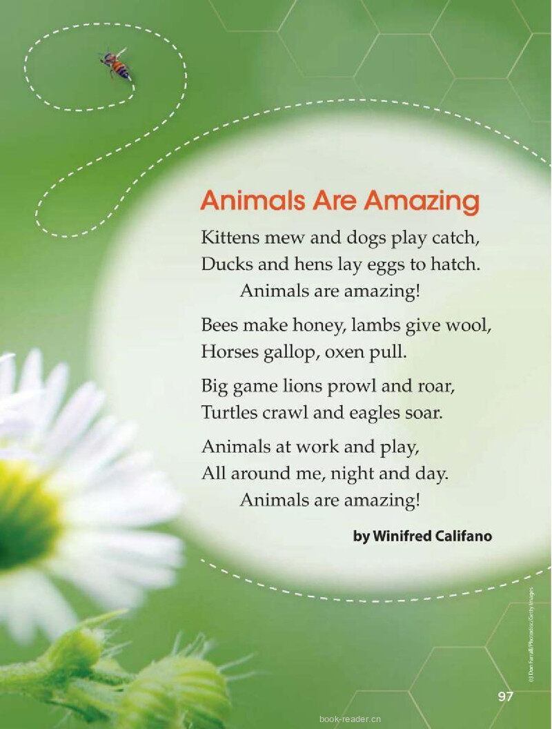 G2 Unit 2 Week 1绘本故事第4页