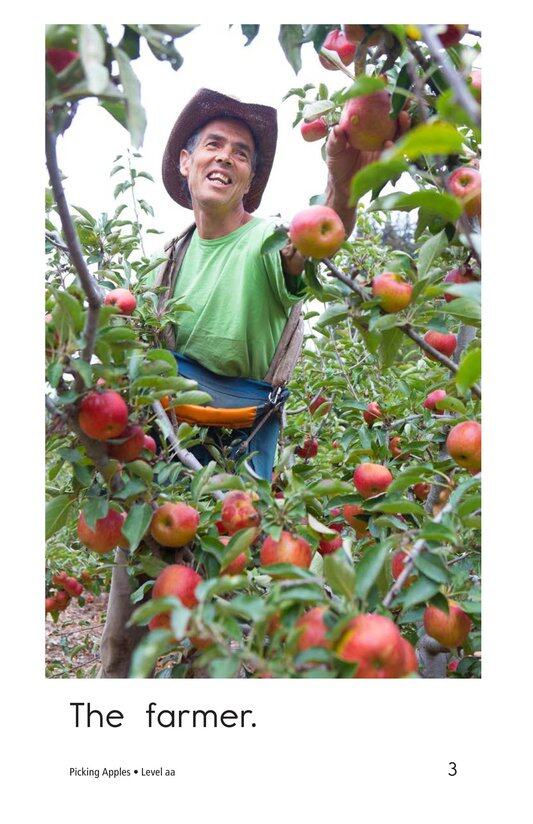 Picking Apples绘本故事第3页