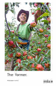 Picking Apples绘本故事第3页