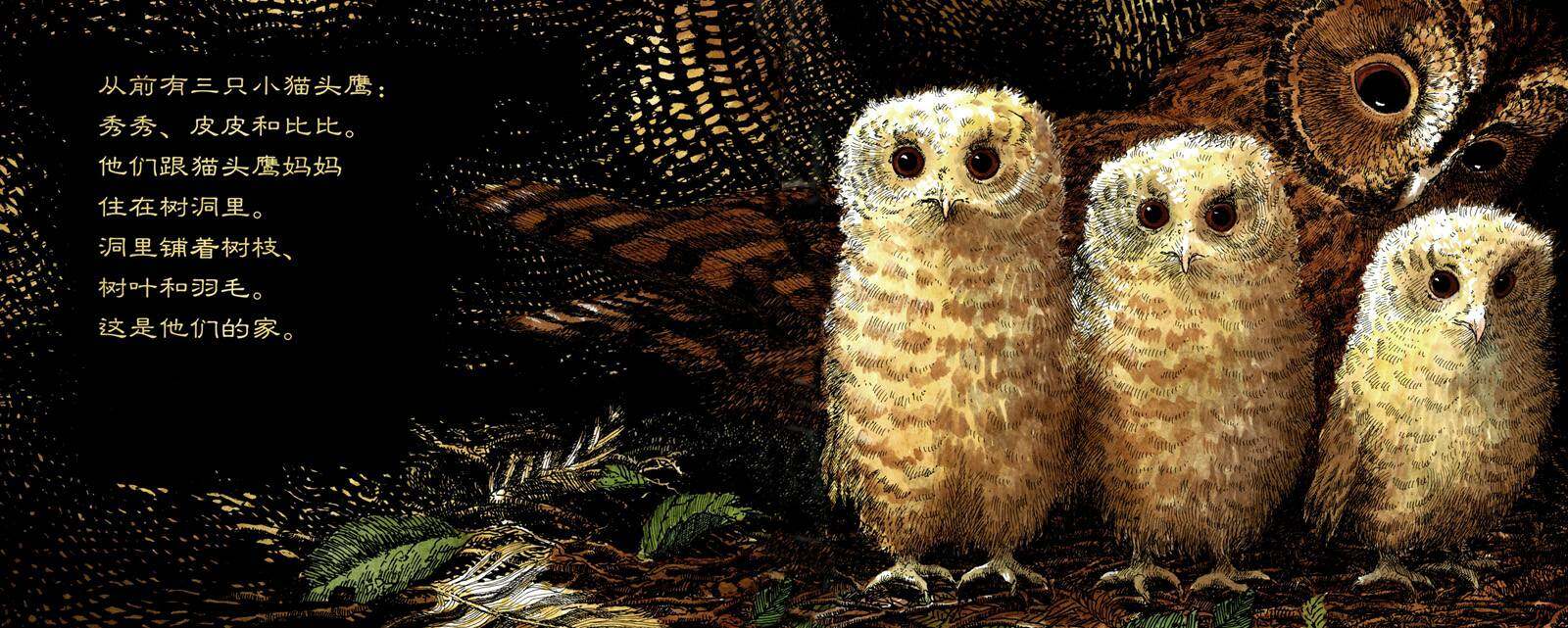 小猫头鹰绘本故事第2页