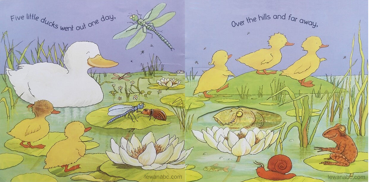(9周)Five Little Ducks绘本故事第3页