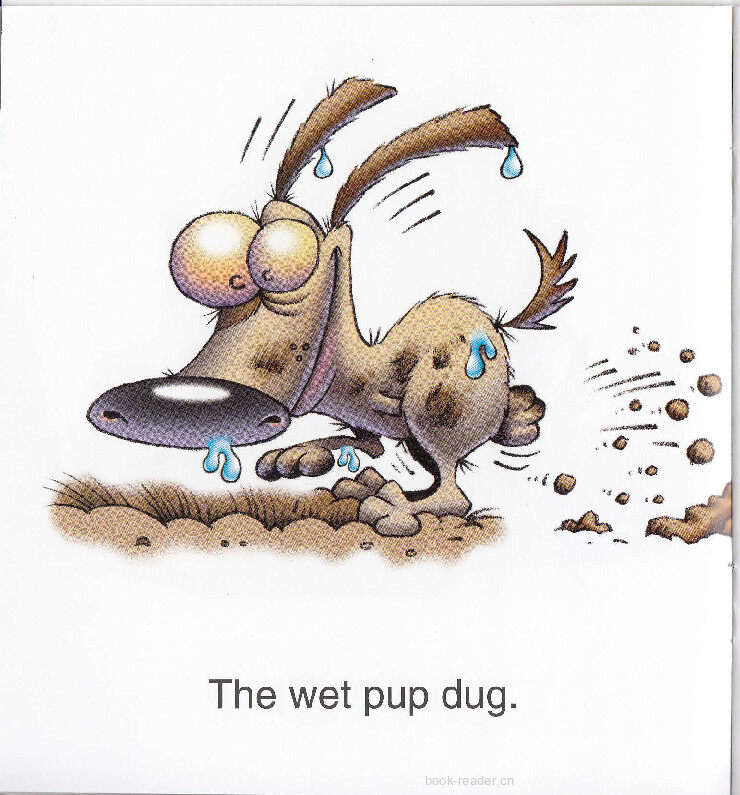 The Wet Pup绘本故事第5页