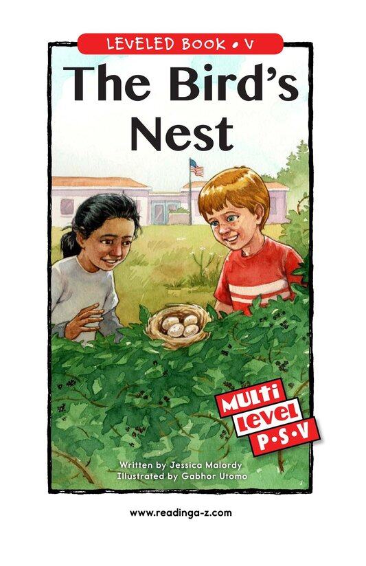 The Bird's Nest绘本故事第2页