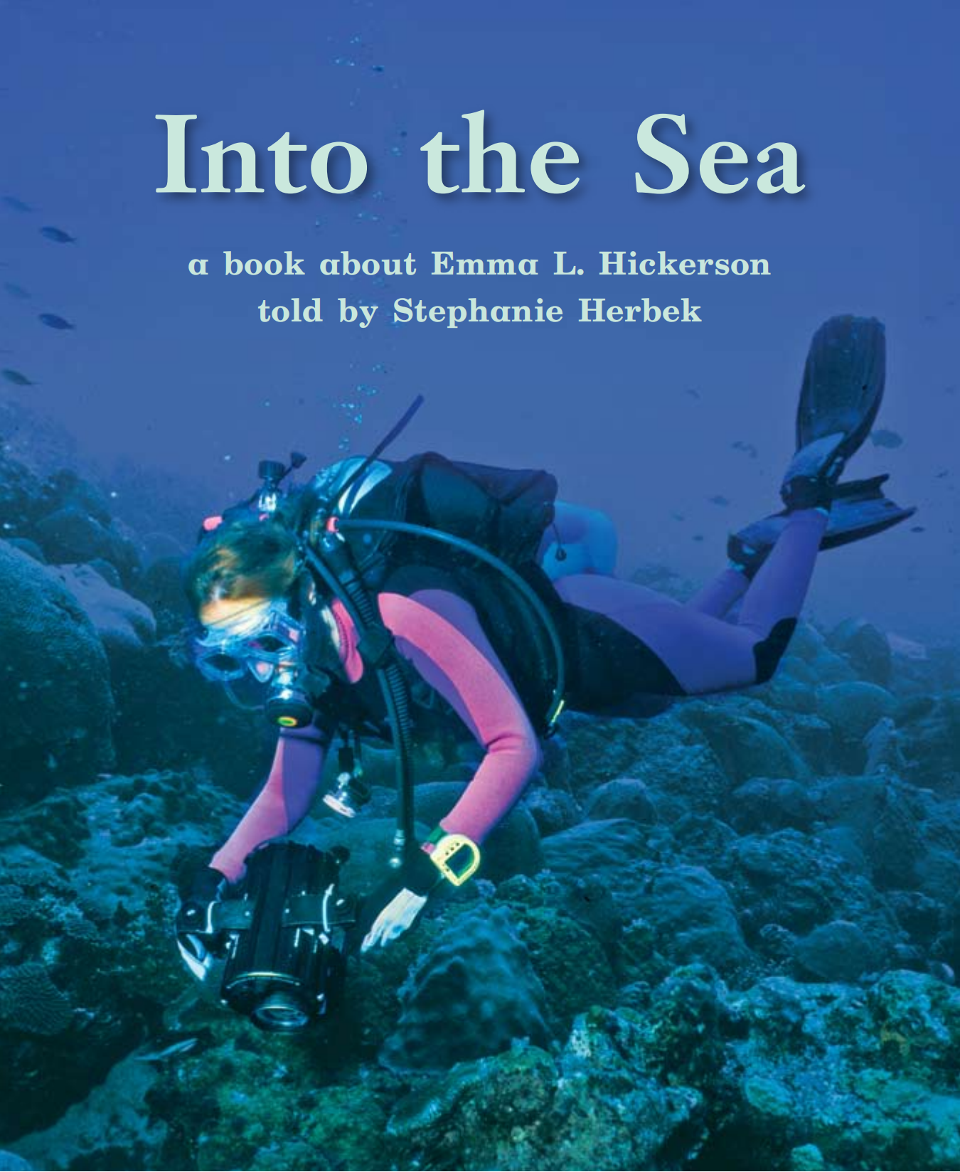 Into the Sea绘本故事第2页