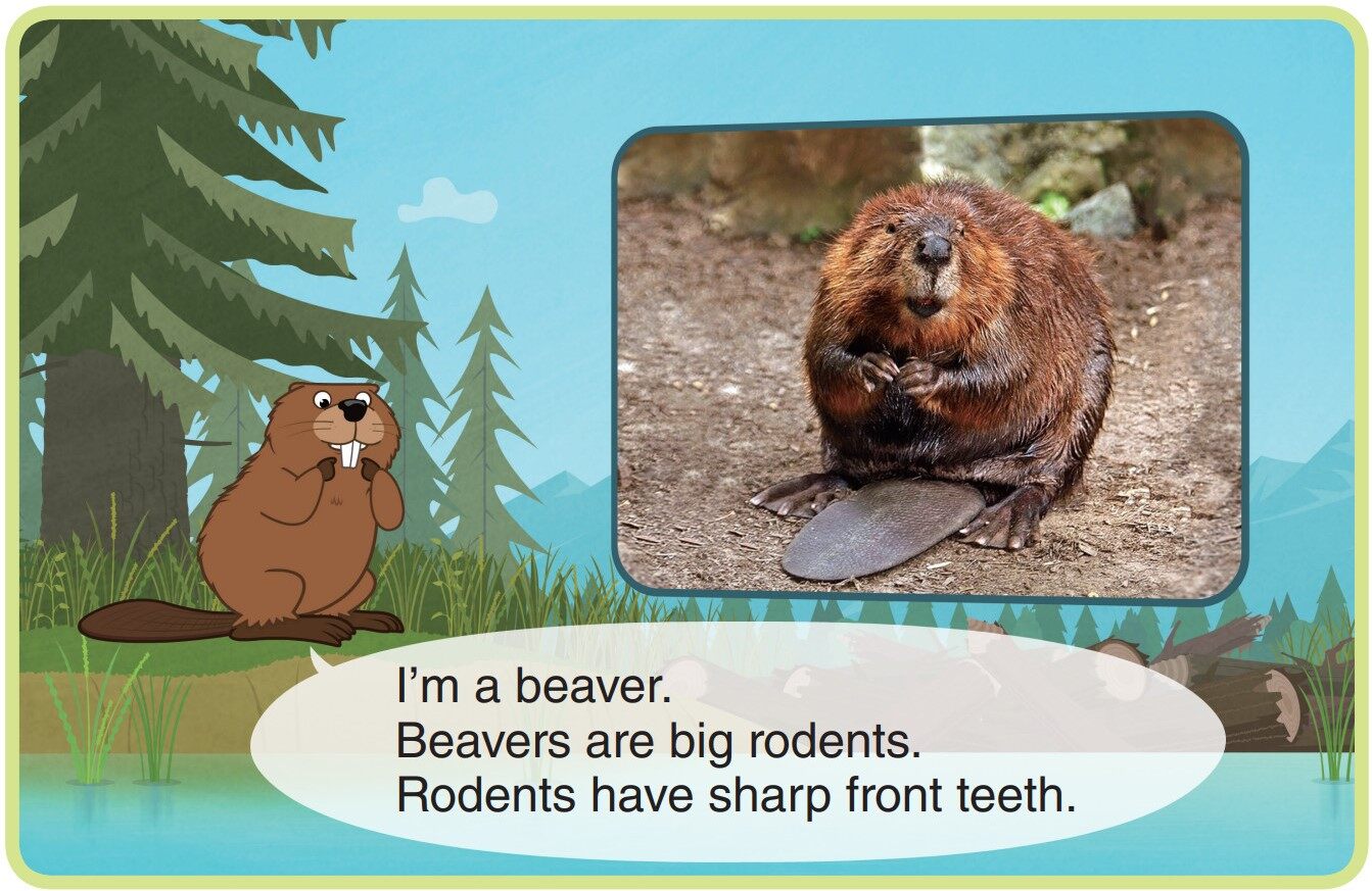 Beaver绘本故事第3页