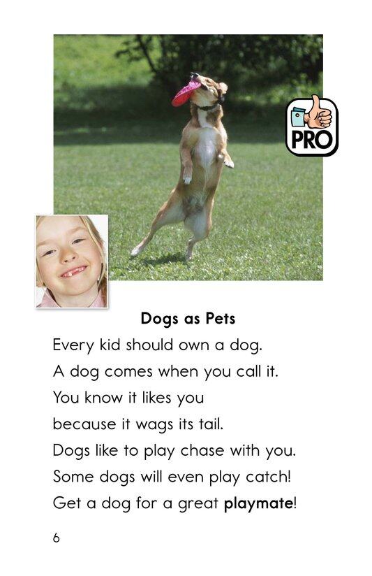 What Pet Should You Get绘本故事第5页