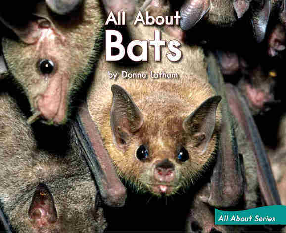 All About Bats绘本故事第2页