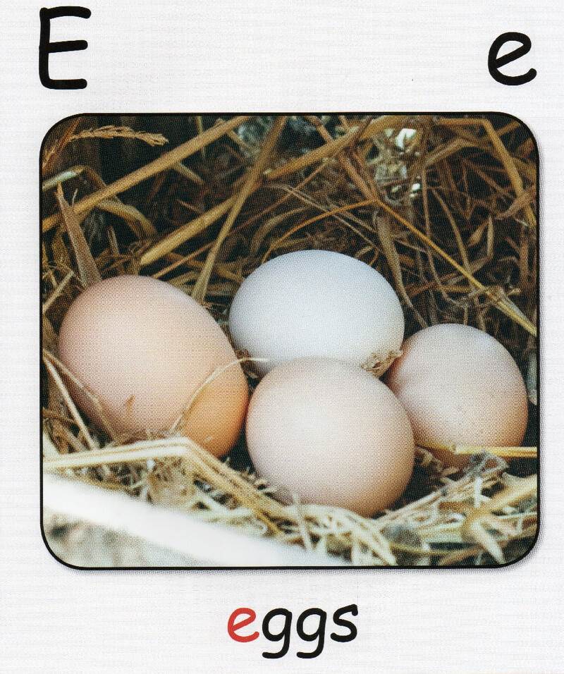 E绘本故事第3页