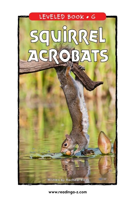 Squirrel Acrobats绘本故事第2页