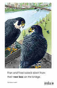 City Falcons绘本故事第3页