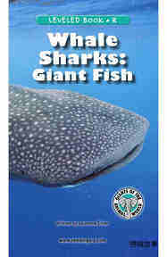 Whale Sharks Giant Fish