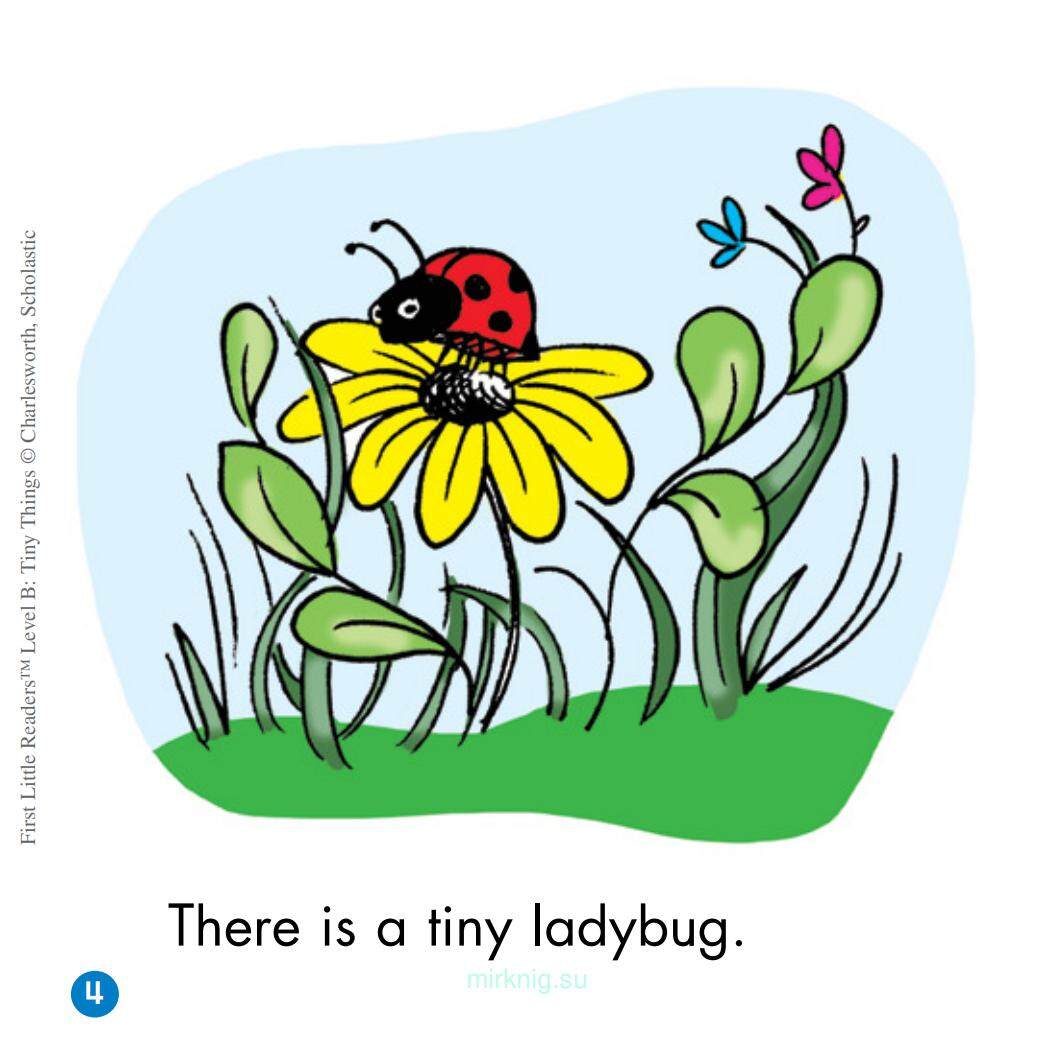 Tiny Things绘本故事第5页