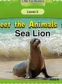Sea Lion