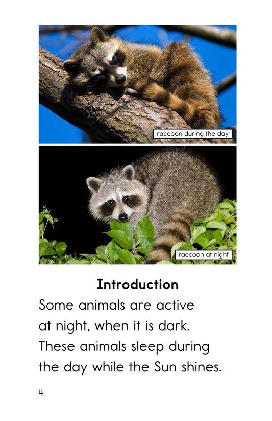 Night Animals绘本故事第3页