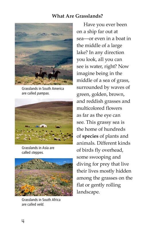 Prairies Alive!绘本故事第3页