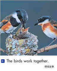 Animals work together绘本故事第5页