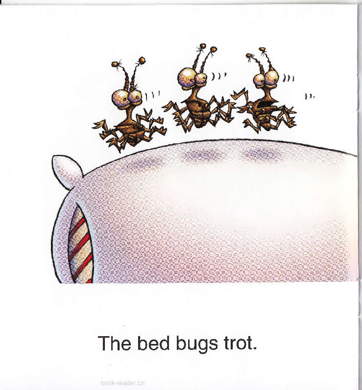 The Bed Bugs绘本故事第5页