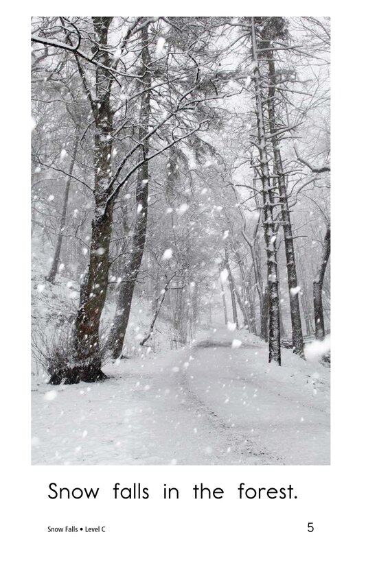 Snow Falls绘本故事第5页