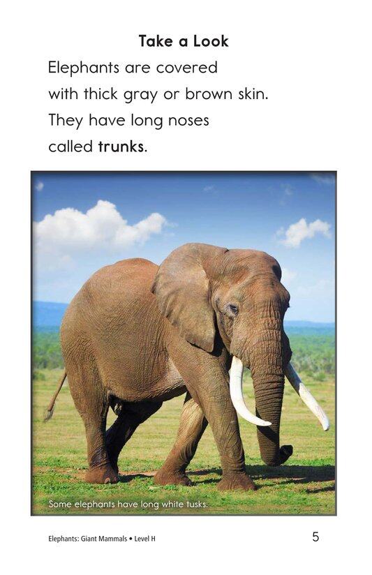 Elephants Giant Mammals绘本故事第4页