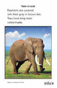 Elephants Giant Mammals绘本故事第4页