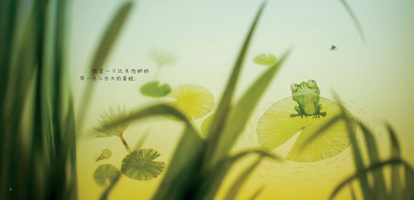 梦里尝到的苍蝇绘本故事第4页