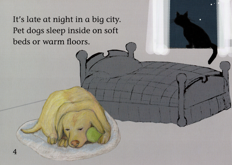 Wild dog in the city绘本故事第4页