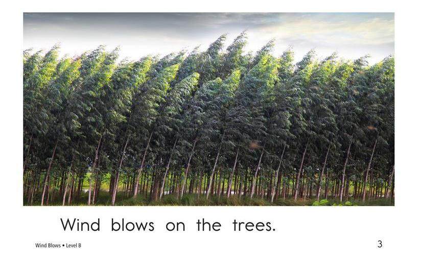 Wind Blows绘本故事第3页