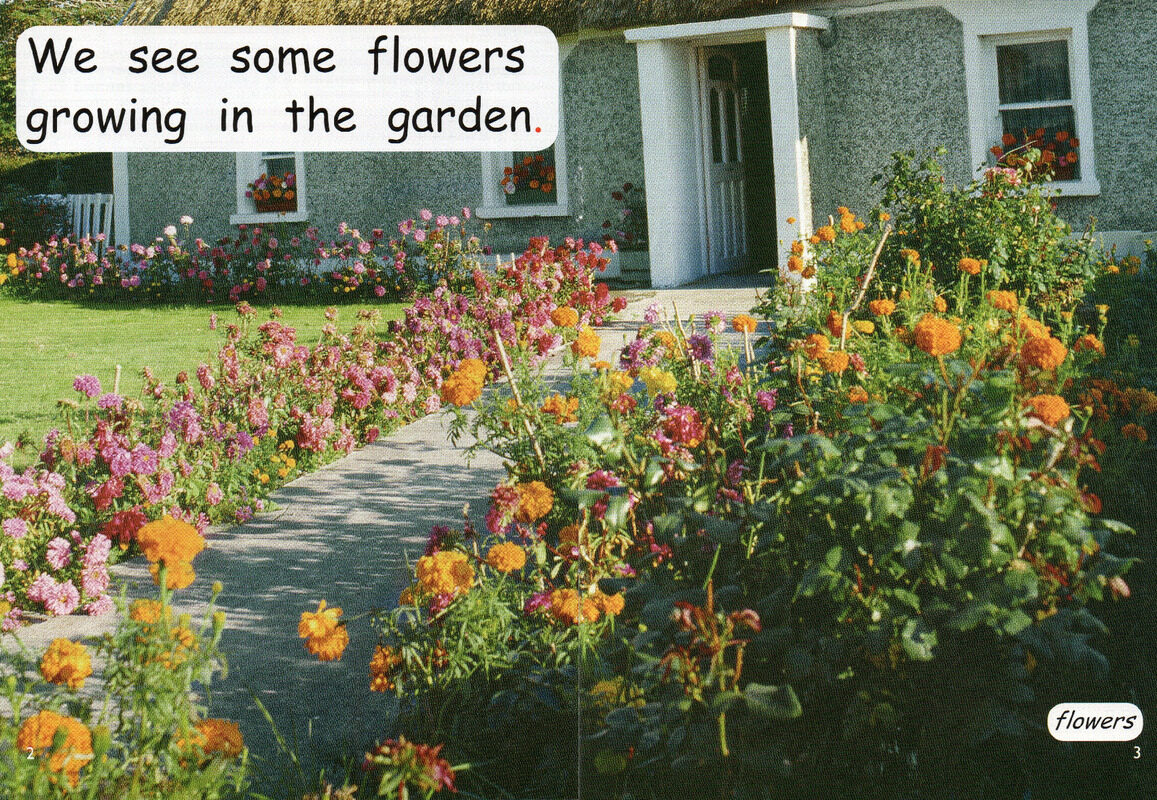 what is in the garden绘本故事第3页