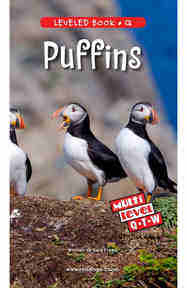 Puffins