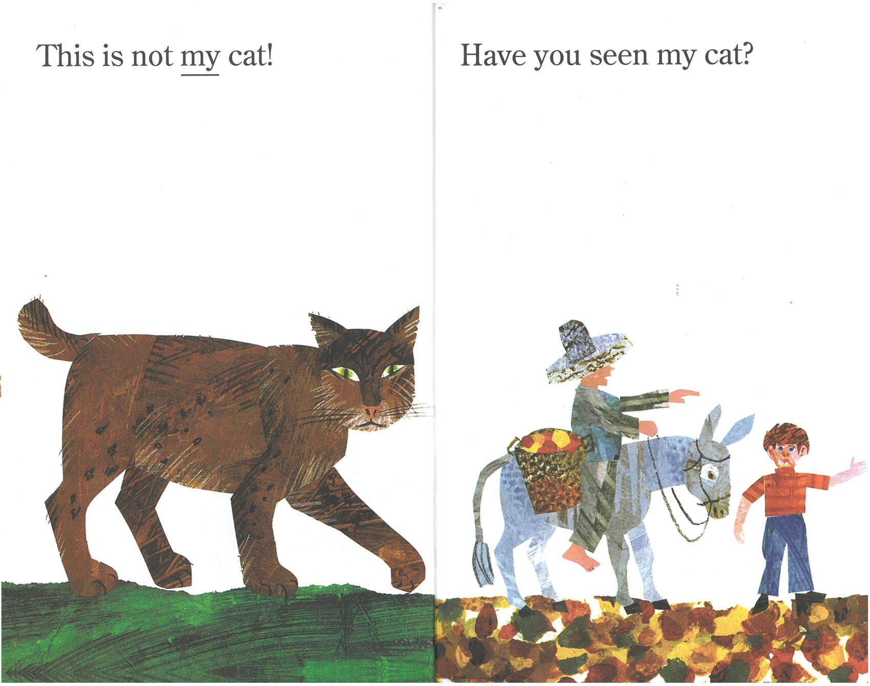 Have You Seen My Cat绘本故事第5页