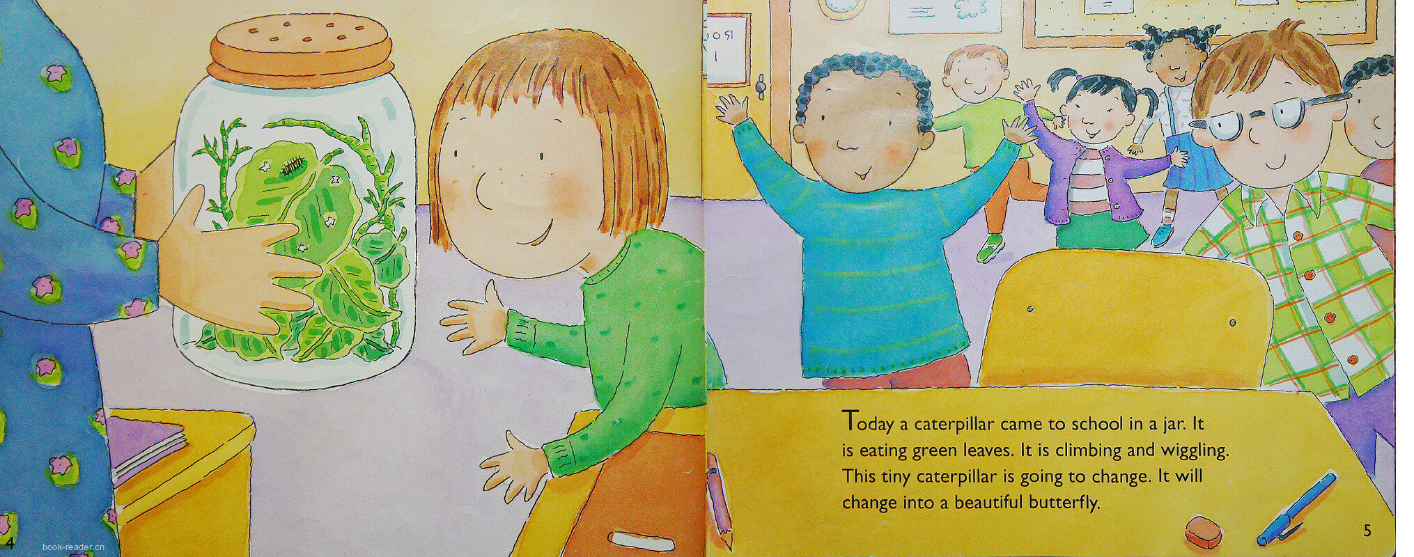 From caterpillar to butterfly绘本故事第3页