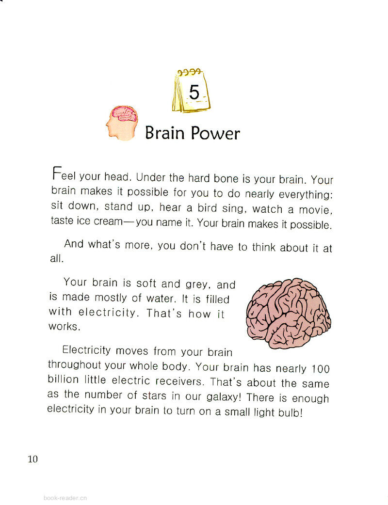 Brain Power绘本故事第2页