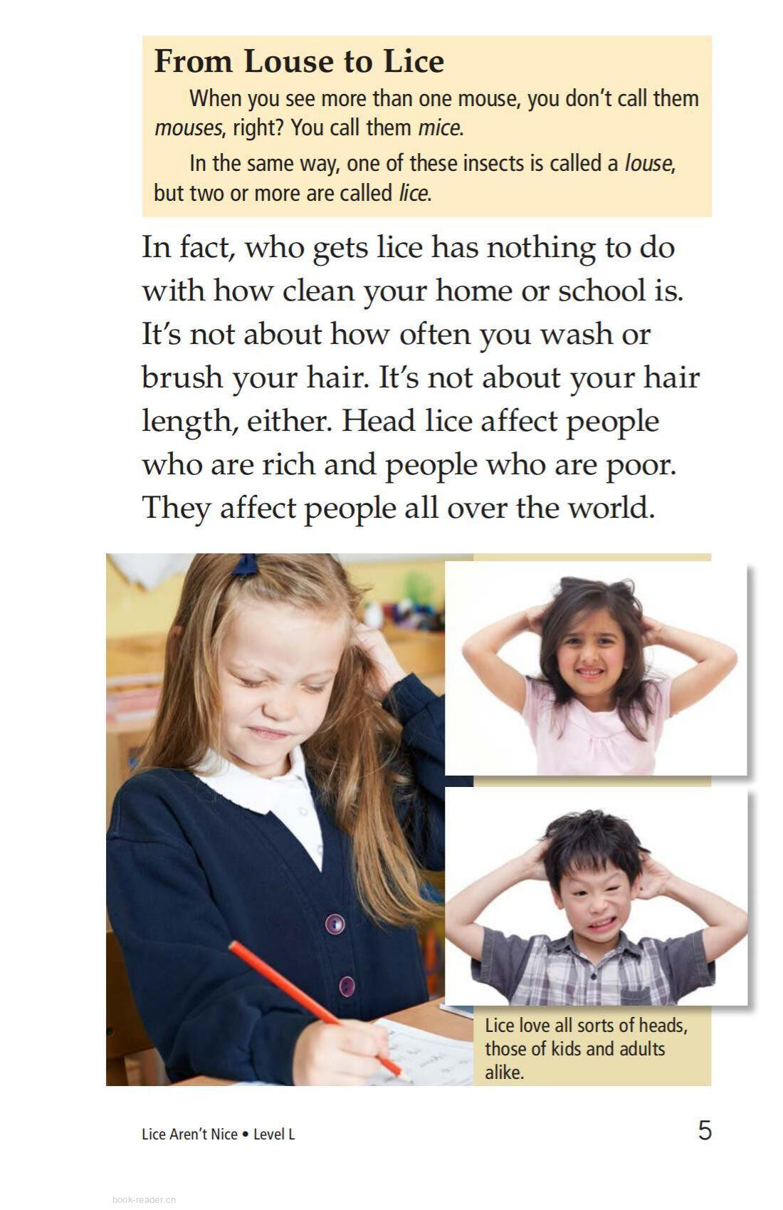 Lice Aren't Nice绘本故事第4页