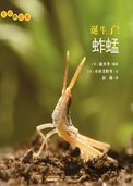 诞生了！蚱蜢