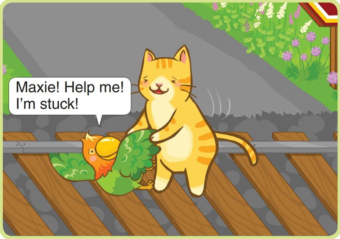 Get Up,Taco!绘本故事第4页