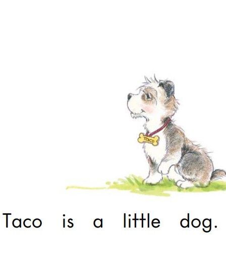 friends绘本故事第4页