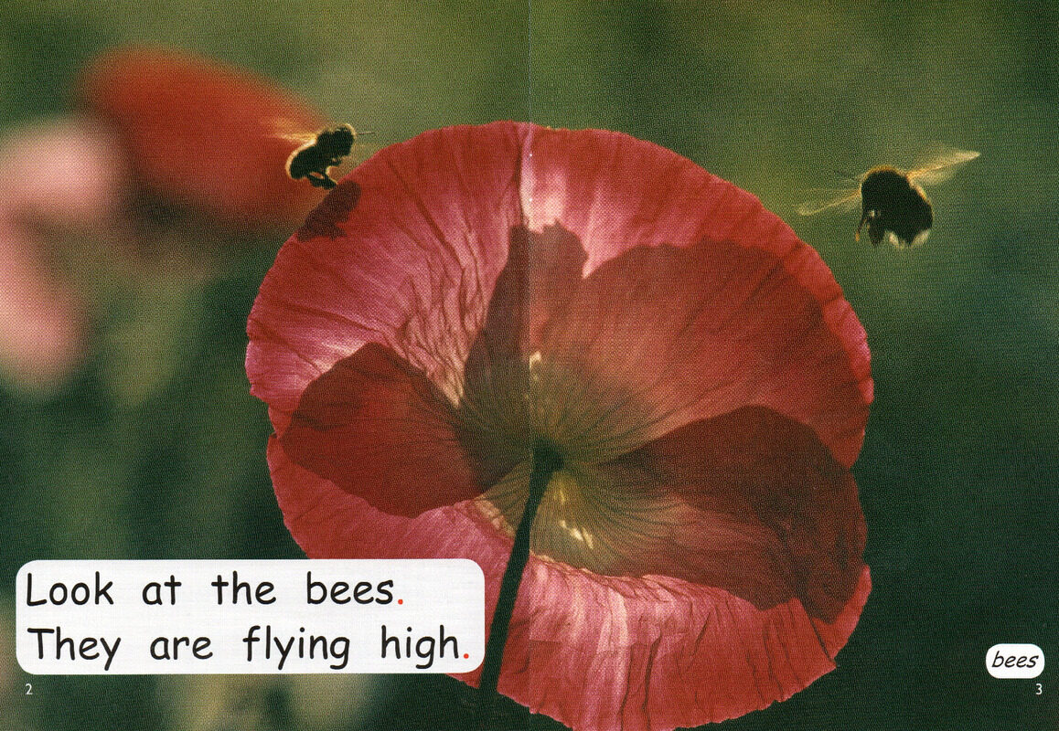 what goes up high绘本故事第3页