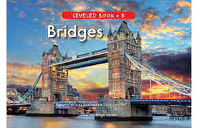 Bridges