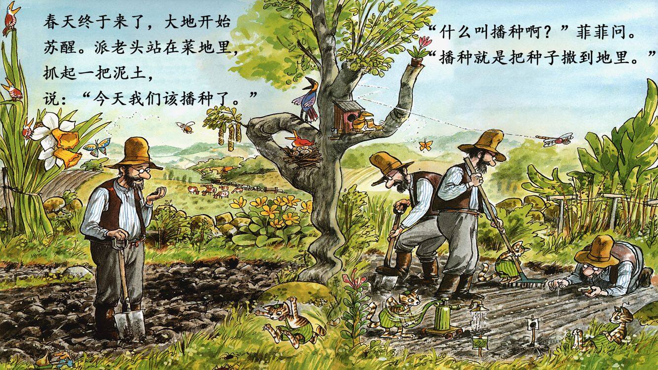 菲菲要种肉丸子绘本故事第4页