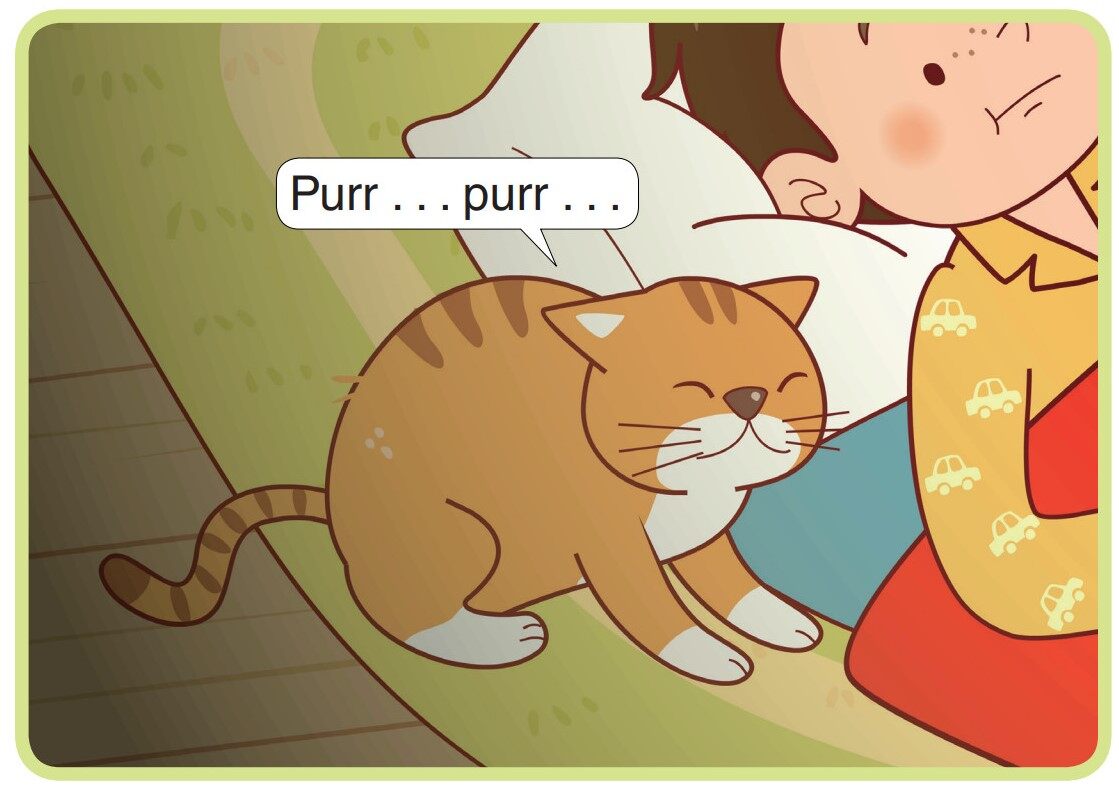 The Next Day绘本故事第5页