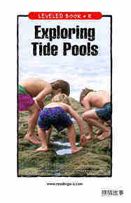 Exploring Tide Pools