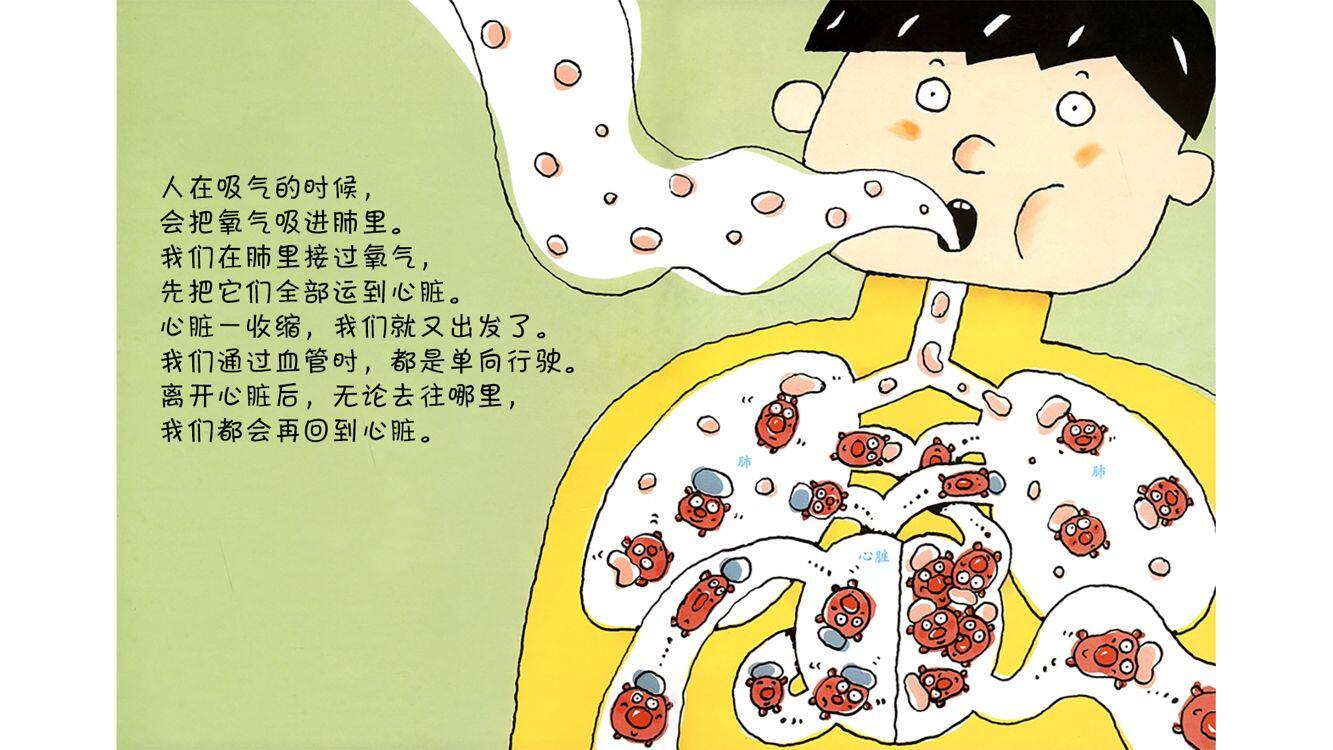 血液兄弟好样的!绘本故事第5页