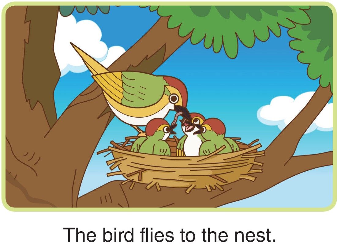 Things That Fly绘本故事第5页