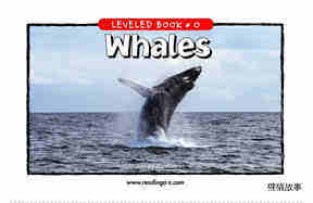 Whales